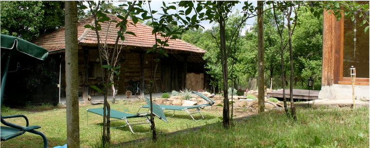 INTEGRAL YOGA COURSE